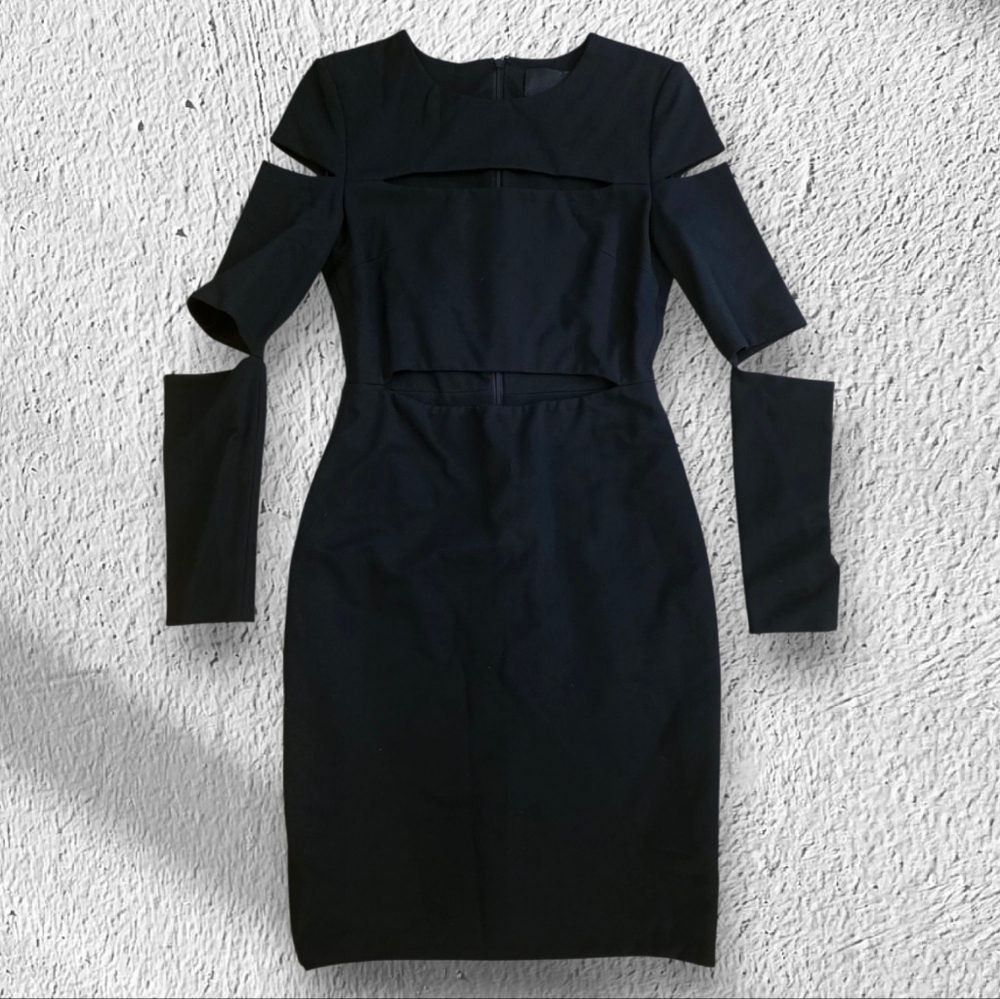 Cushnie Et Ochs Cut Out Dress